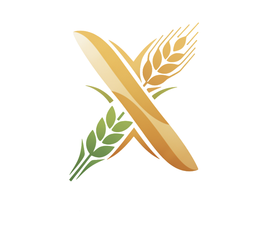 Rashan X Logo